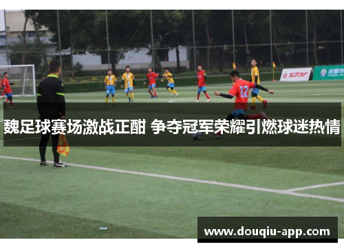 魏足球赛场激战正酣 争夺冠军荣耀引燃球迷热情