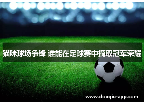 猫咪球场争锋 谁能在足球赛中摘取冠军荣耀